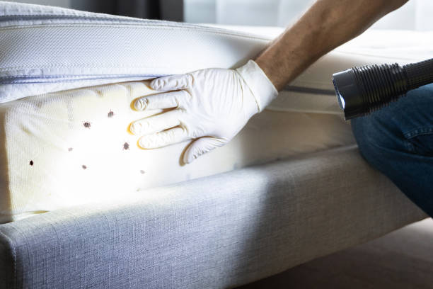 Best Best Pest Control Companies  in Argo, AL